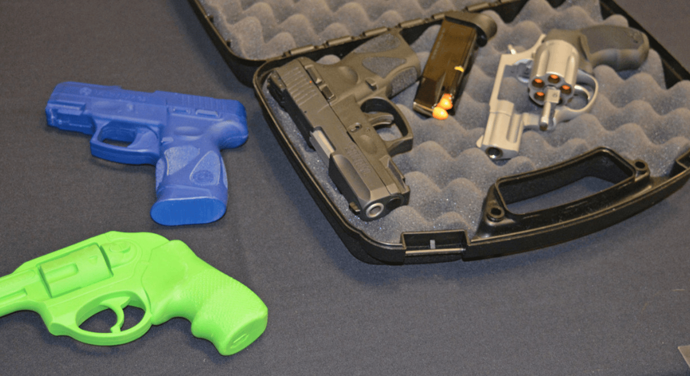 Guns in a case