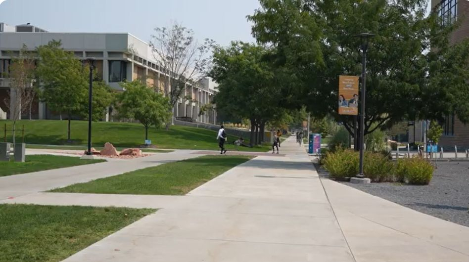 An open sidewalk walking path surrounded by grass 